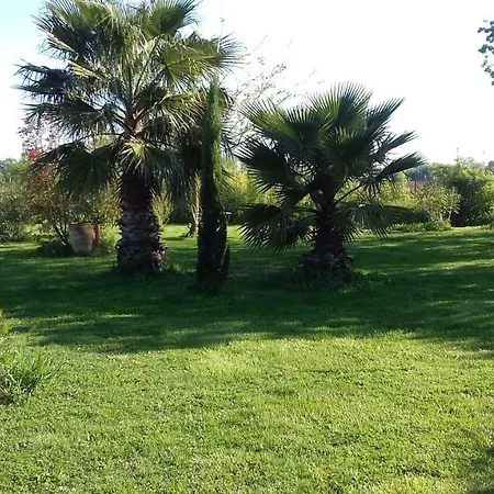 Domaine Delagarde Pensión Narbona
