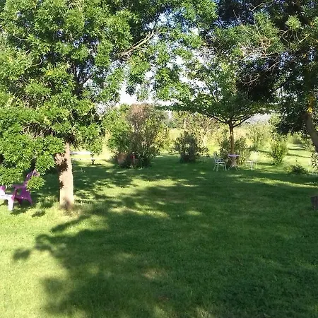 Domaine Delagarde Narbona